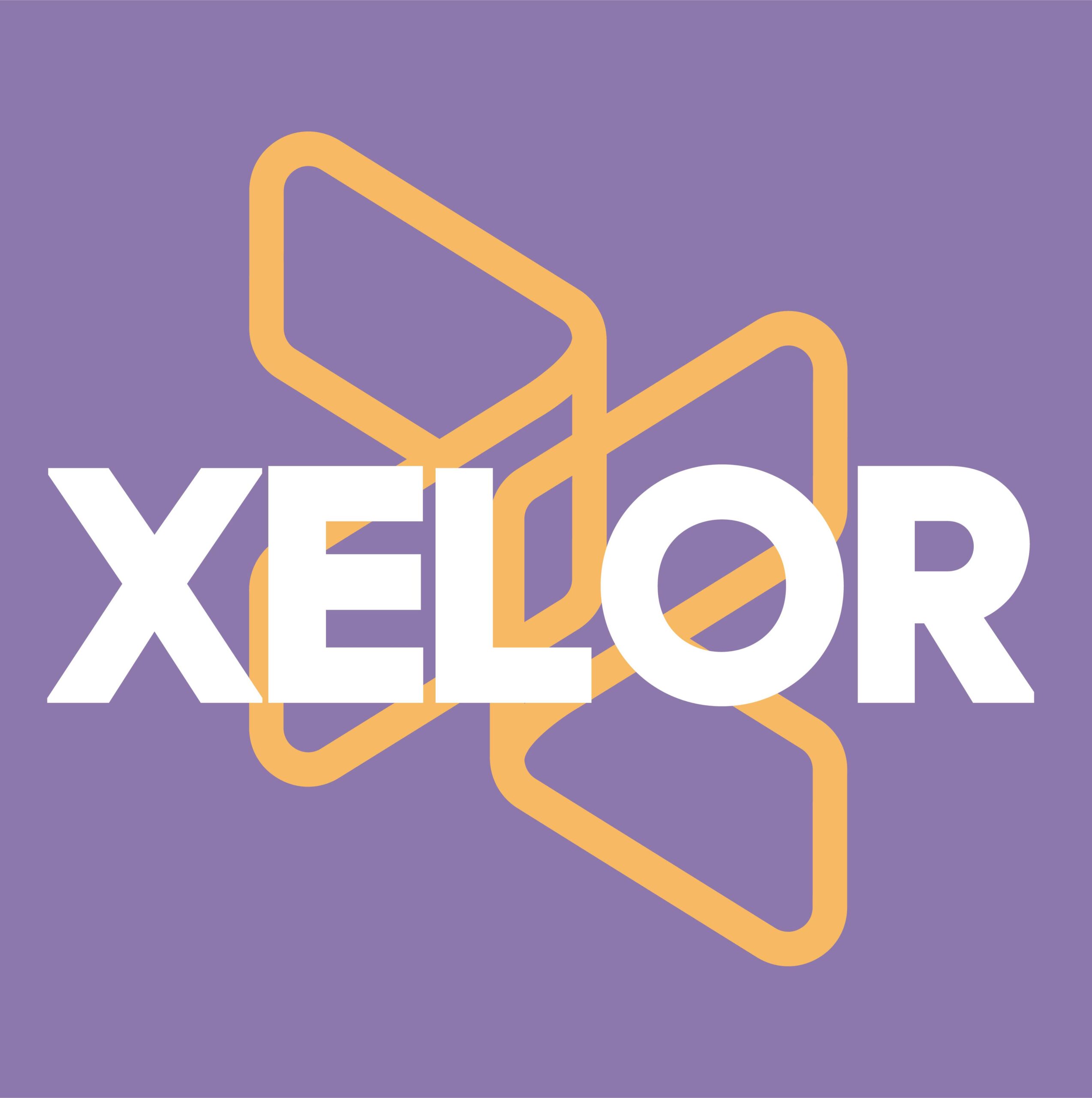 Xelor - Experts in it consulting